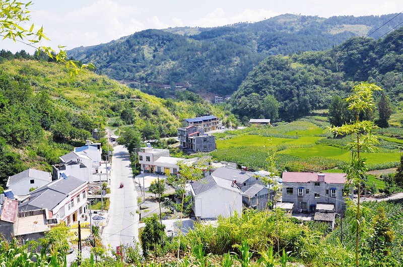 温家山村民委员会天气预报更新通知