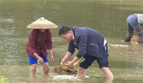 浅水镇最新领导