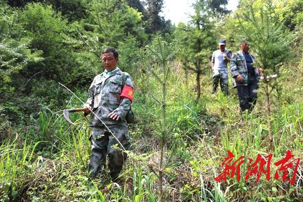 连山壮族瑶族自治县交通运输局招聘启事概览