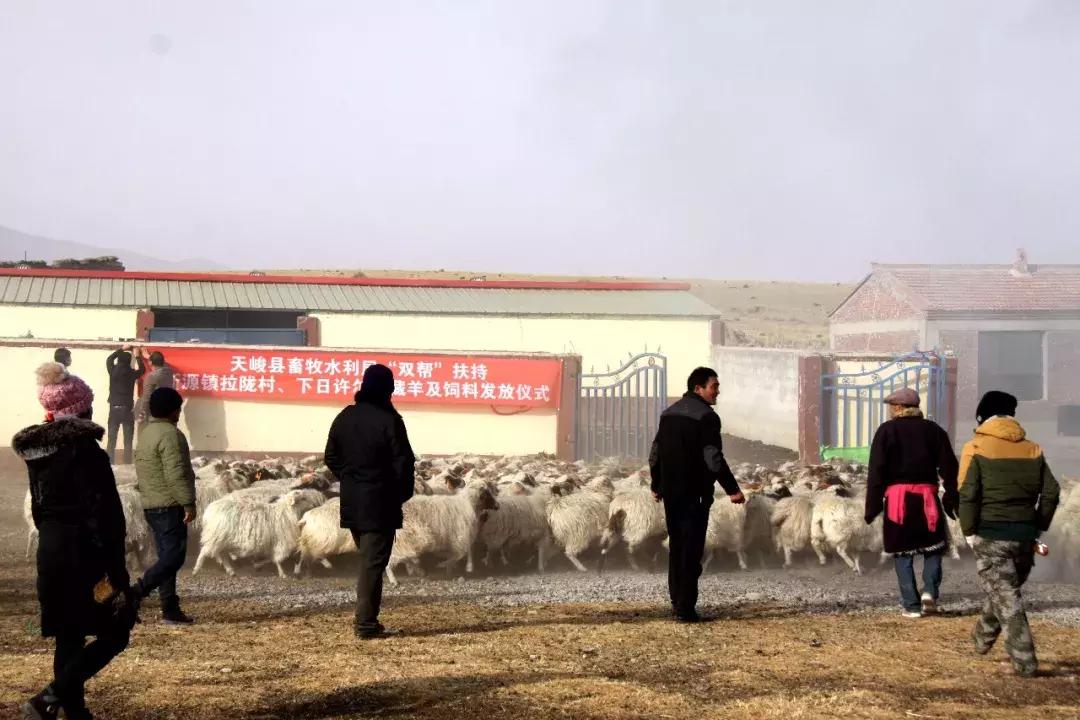 刚察县水利局领导团队引领水利事业开启新篇章