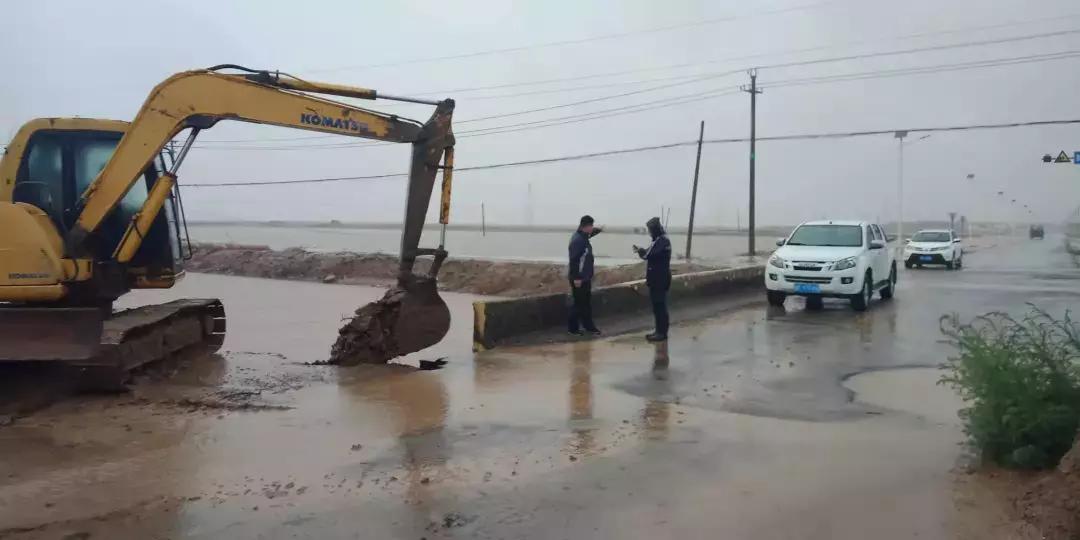 河口区公路运输管理事业单位最新项目研究概况