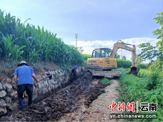 树下村委会启动重塑乡村项目，现代化与生态和谐共生共发展