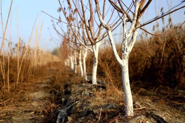 博湖县市场监督管理局领导团队最新概述