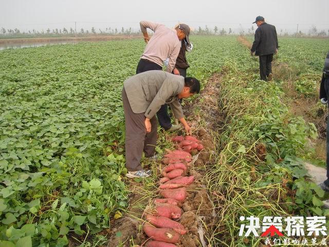 柳河农场最新领导