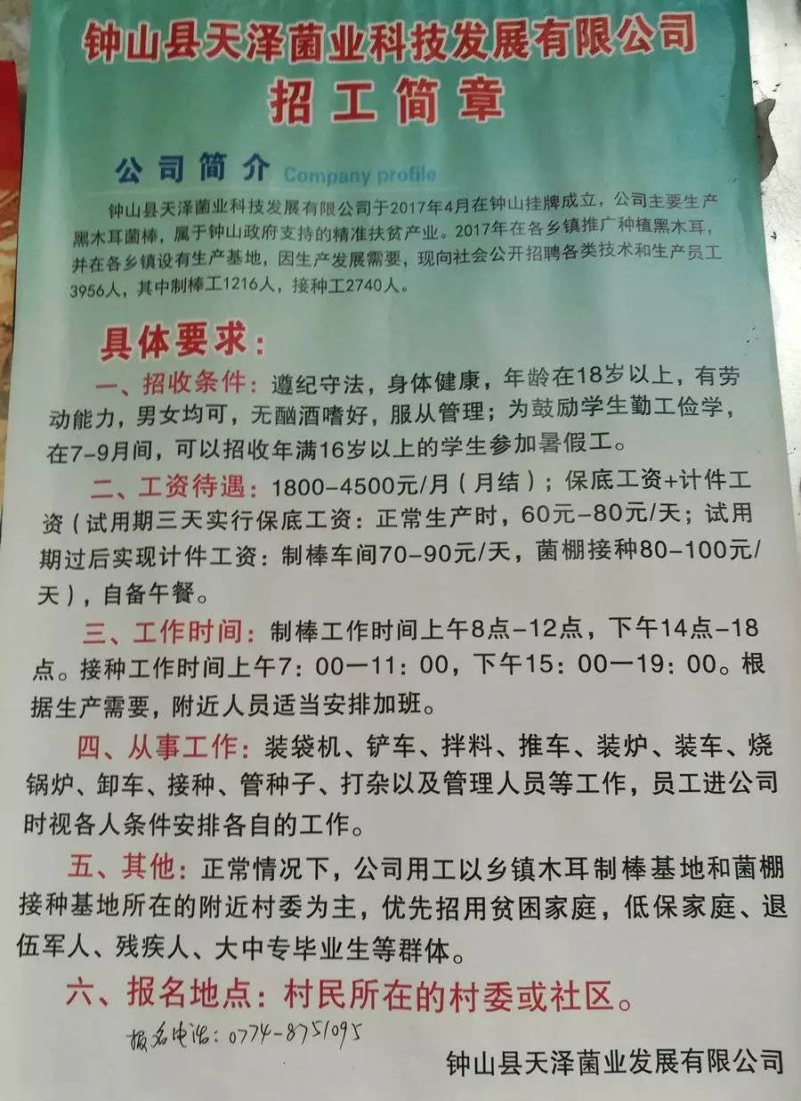 丁赵家村委会最新招聘信息