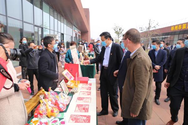 林州市图书馆最新发展规划