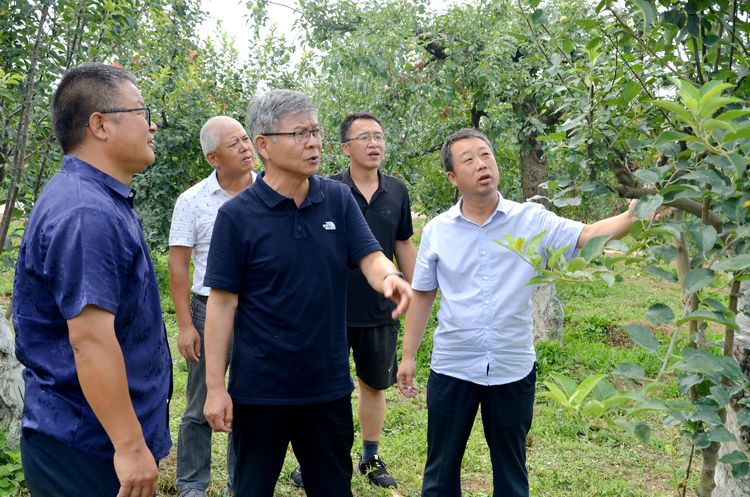 果树示范场领导引领绿色革命新篇章