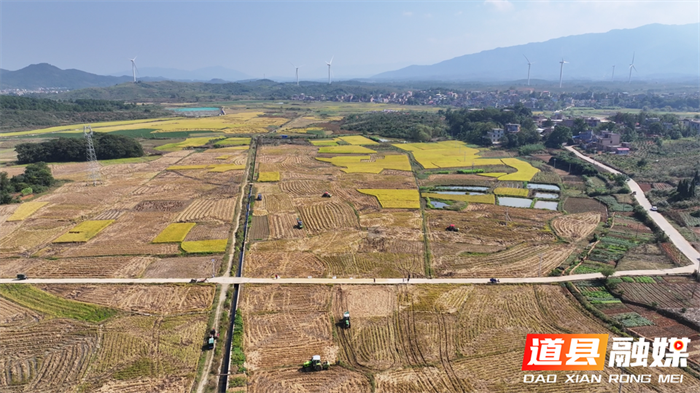 道县桥头林场现代化交通新篇章开启，最新交通新闻报告