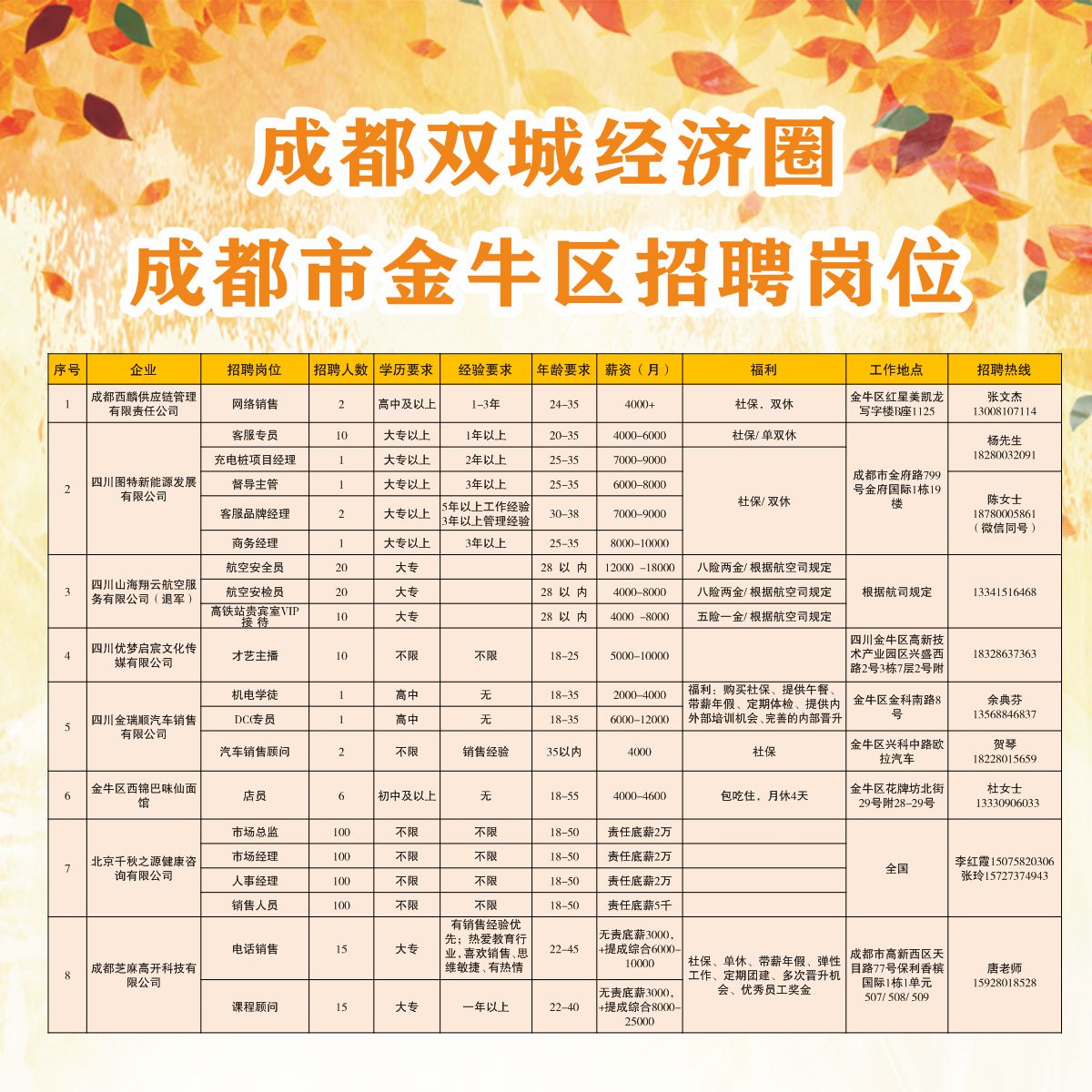 金牛区统计局最新招聘信息