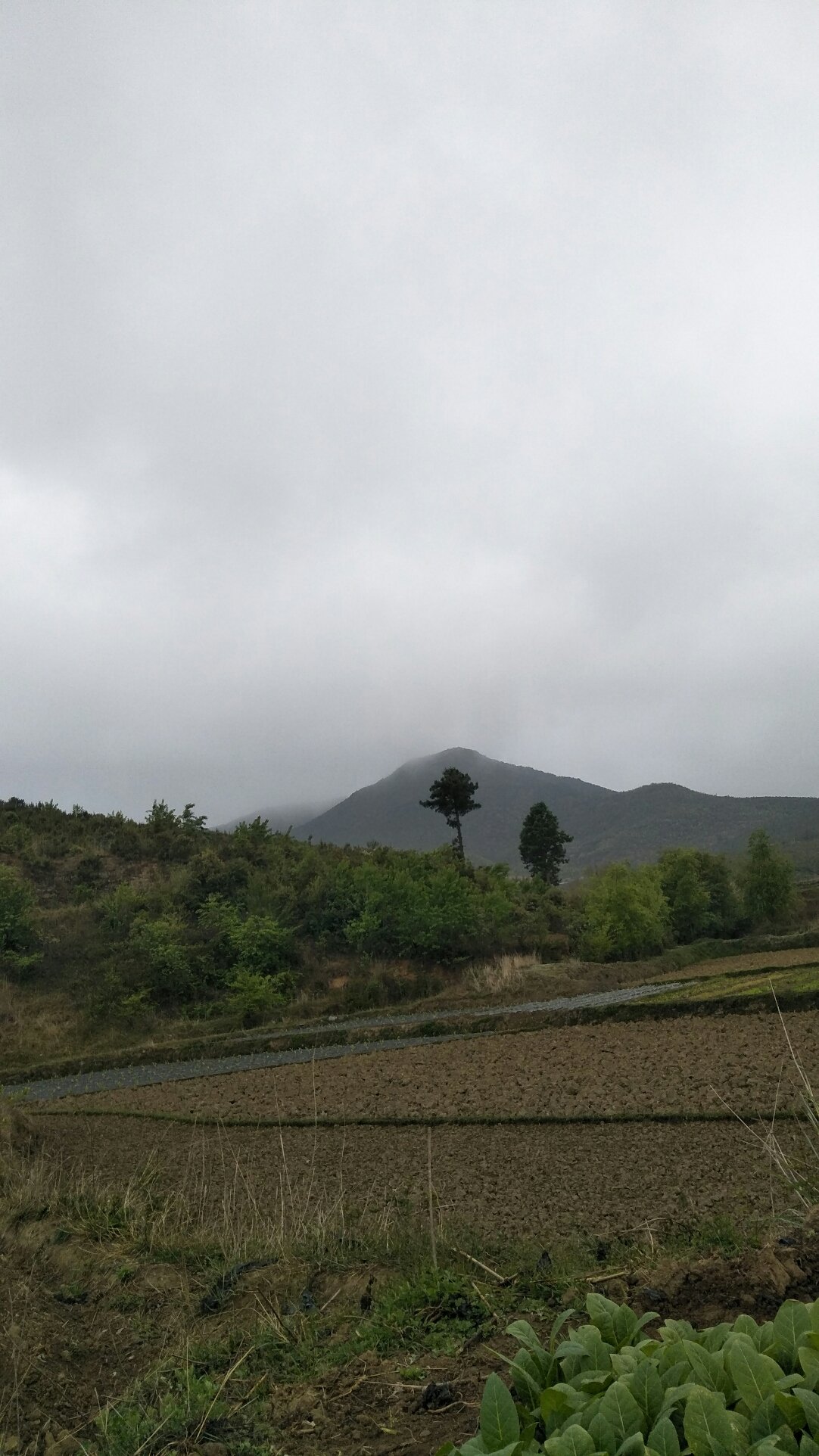 复和乡天气预报更新通知