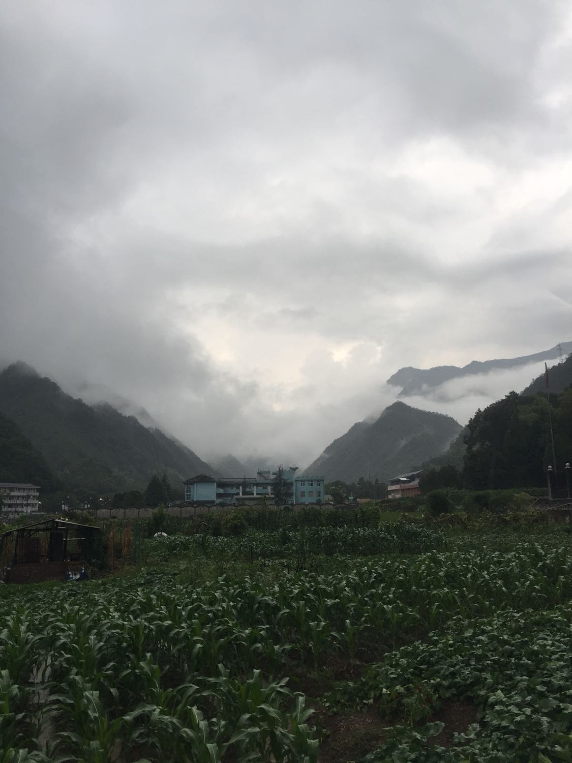 水隘乡天气预报更新通知