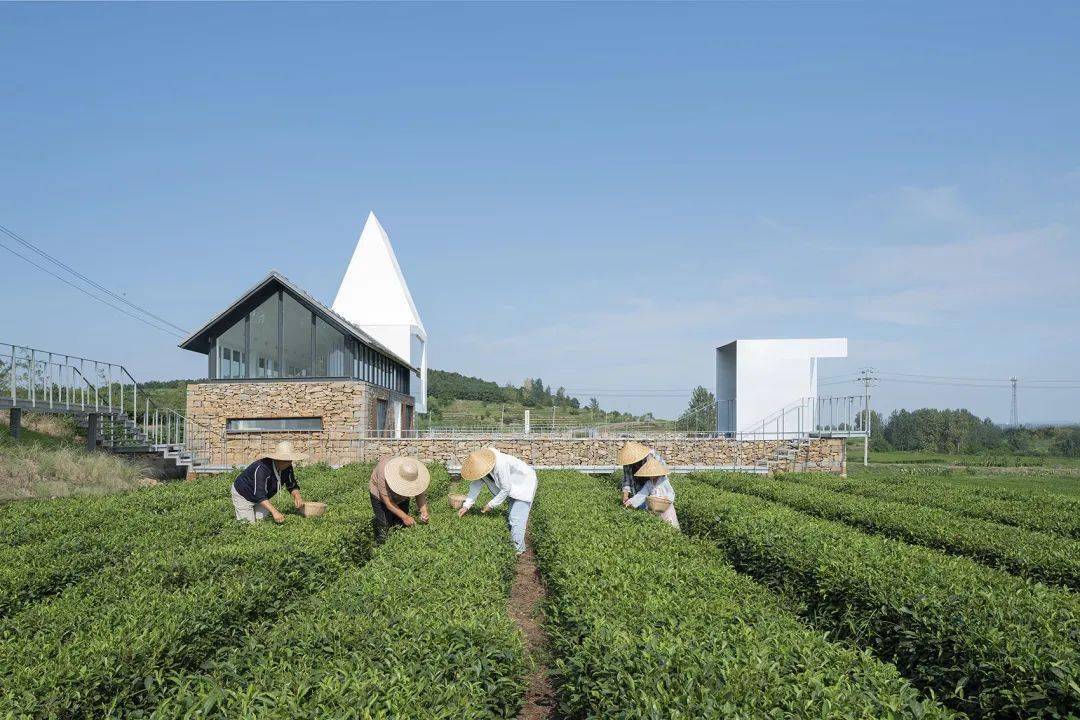 茶迁村最新项目