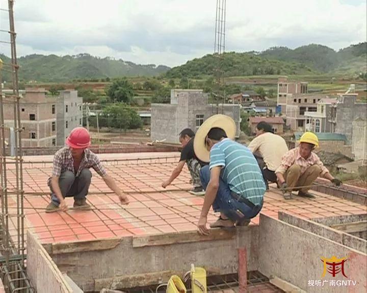 曹家坝村委会最新动态报道