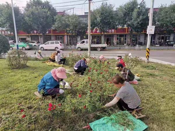 阎良区人力资源和社会保障局最新领导