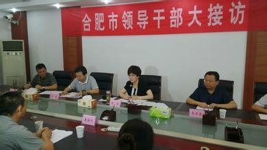 合肥市信访局新项目重塑市民服务体验，提升市民满意度