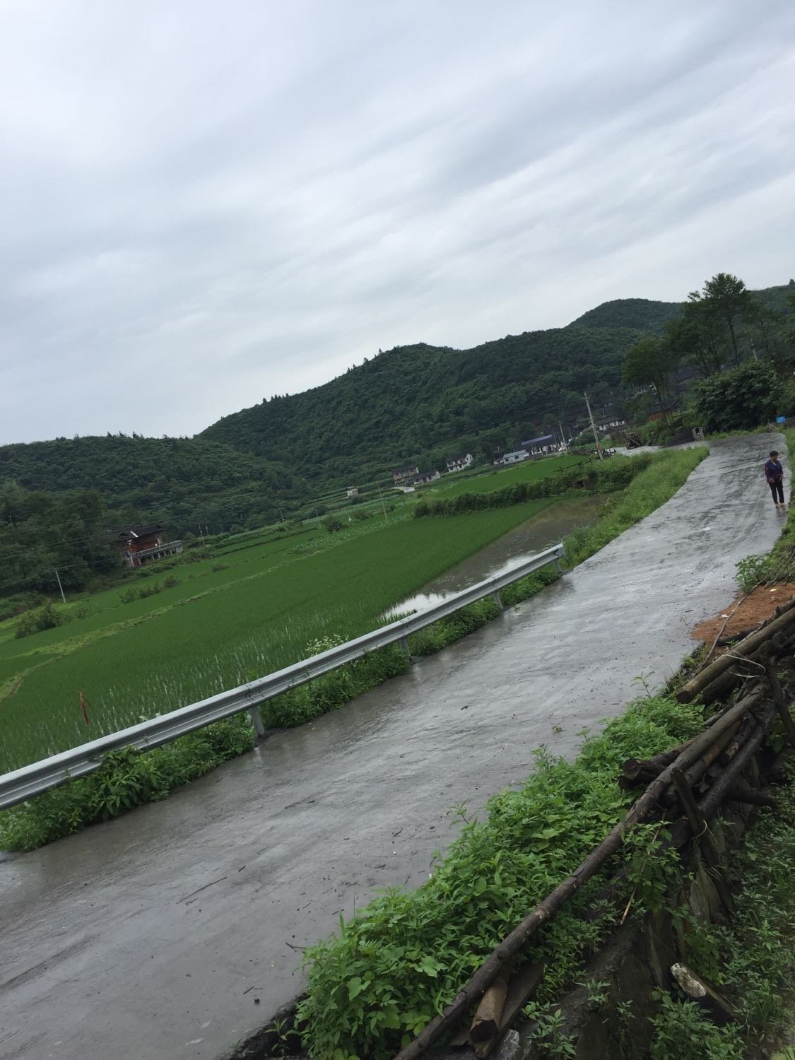 三滩村最新天气预报