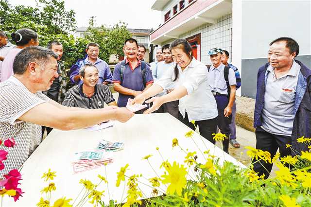 漆园最新动态，探索与发现之旅