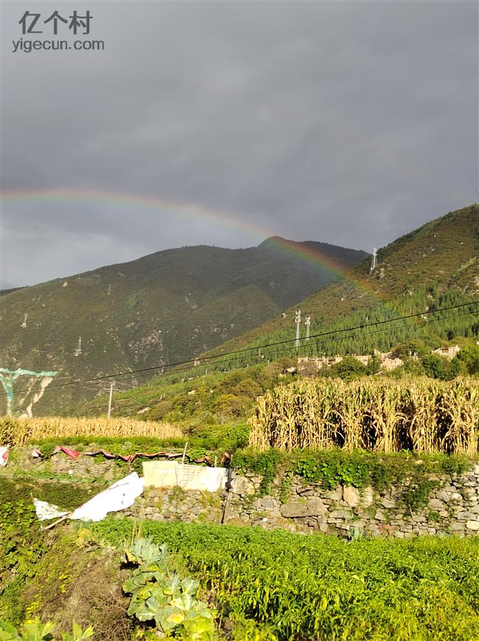 东达村最新天气预报