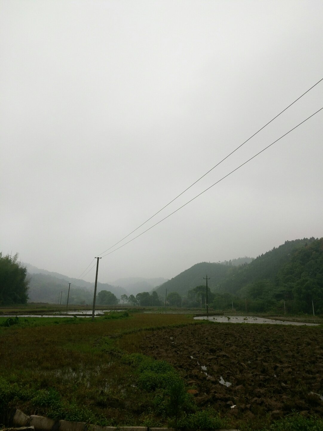 高埔岗农场天气预报更新通知