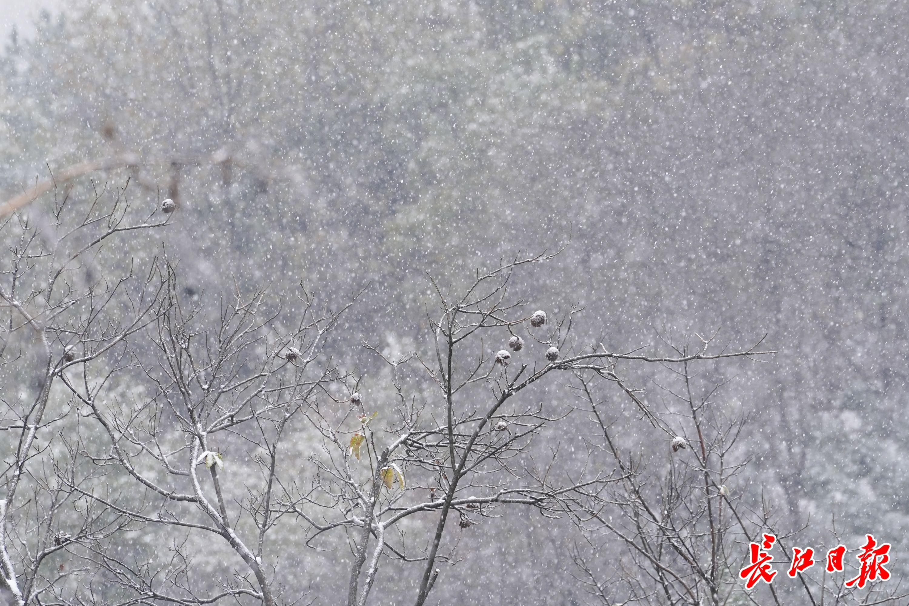 广水社区最新天气预报