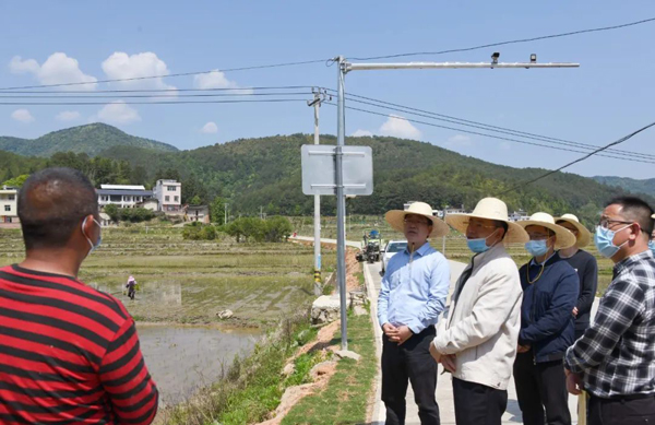 武平县农业农村局新项目推动农业现代化助力乡村振兴