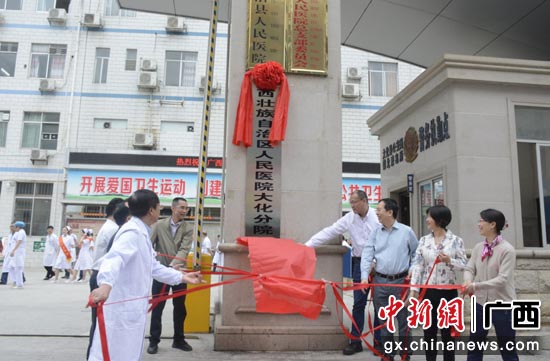 大化瑶族自治县医疗保障局‌最新项目