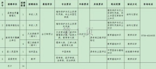 北湖区人民政府办公室最新招聘信息