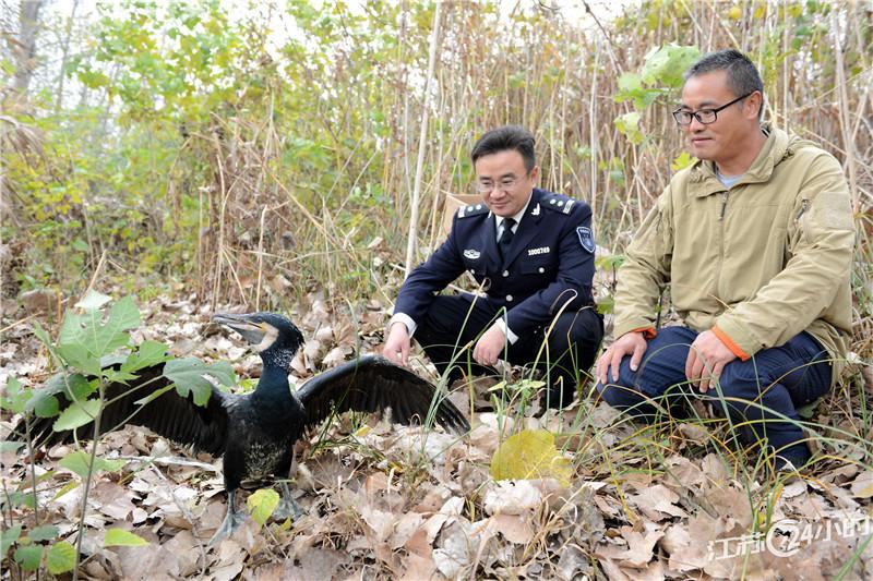 越城区自然资源和规划局最新新闻