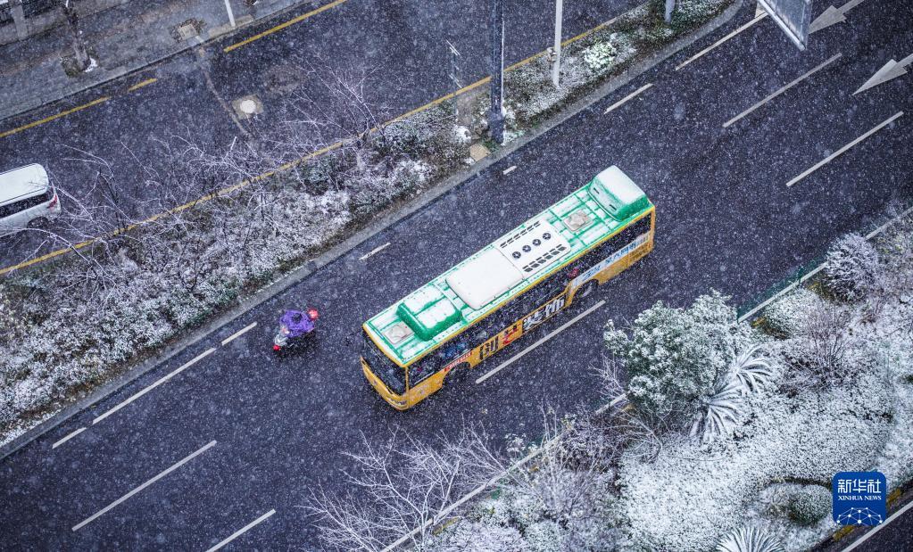 雨棠 第3页