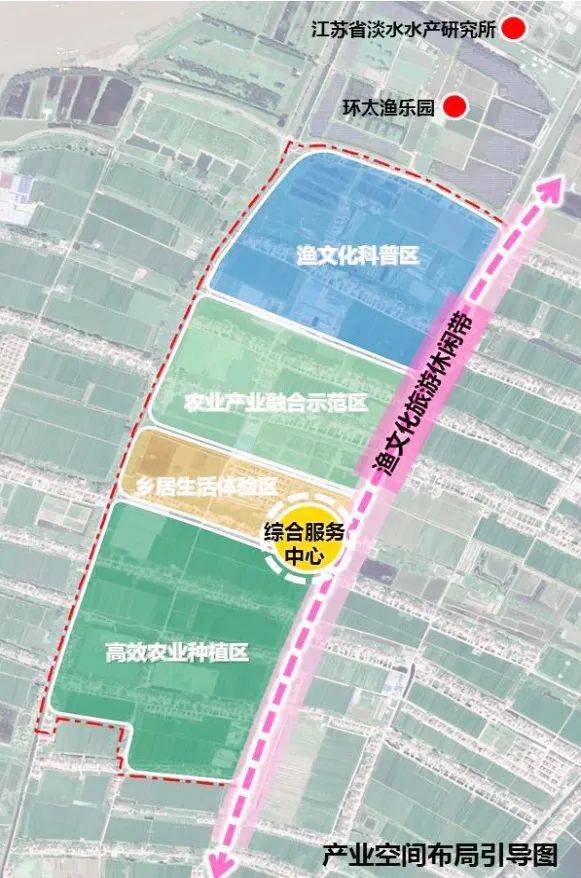 扬中市种猪场最新发展规划概览