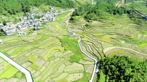 花溪区农业农村局最新项目