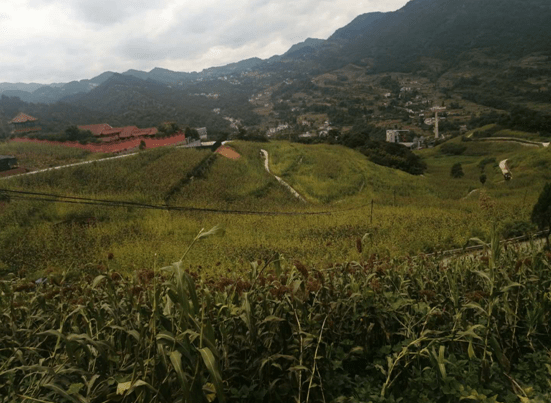 兴山县农业农村局最新项目