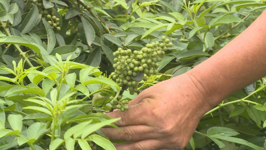 客户案例 第166页