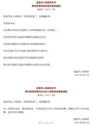 宜昌市粮食局人事大调整，迈向新高度的人事任命推动粮食事业发展