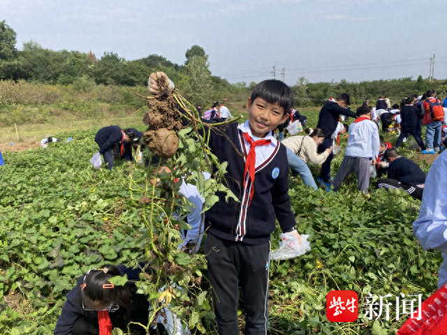 大台山果树农场最新交通新闻