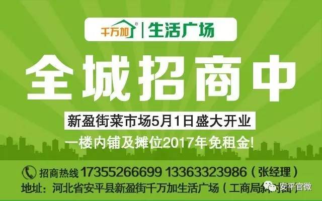 营山县人力资源和社会保障局招聘最新信息概览