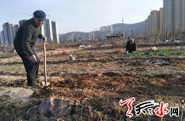 西十里村民委员会最新天气预报