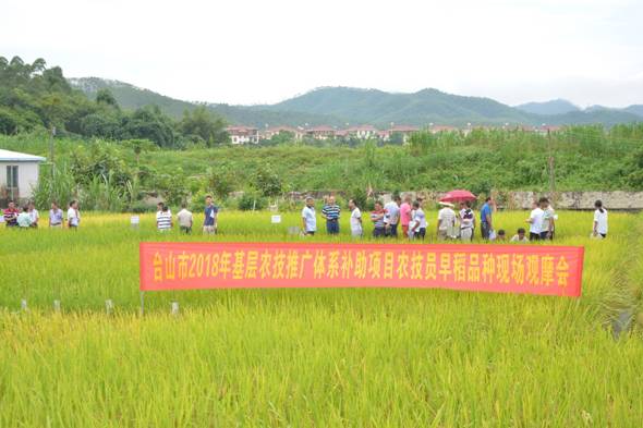 青铜峡市农业农村局新项目推动农业现代化，乡村振兴再添新动力