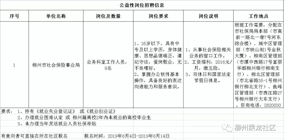 绥胜镇最新招聘信息详解及解读