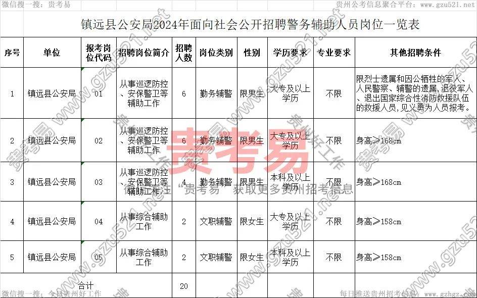 镇宁布依族苗族自治县公安局招聘公告详解