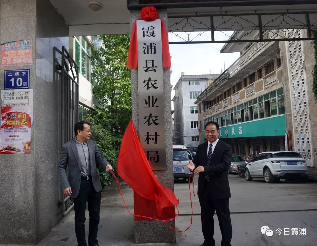 修水县发展和改革局最新项目概览