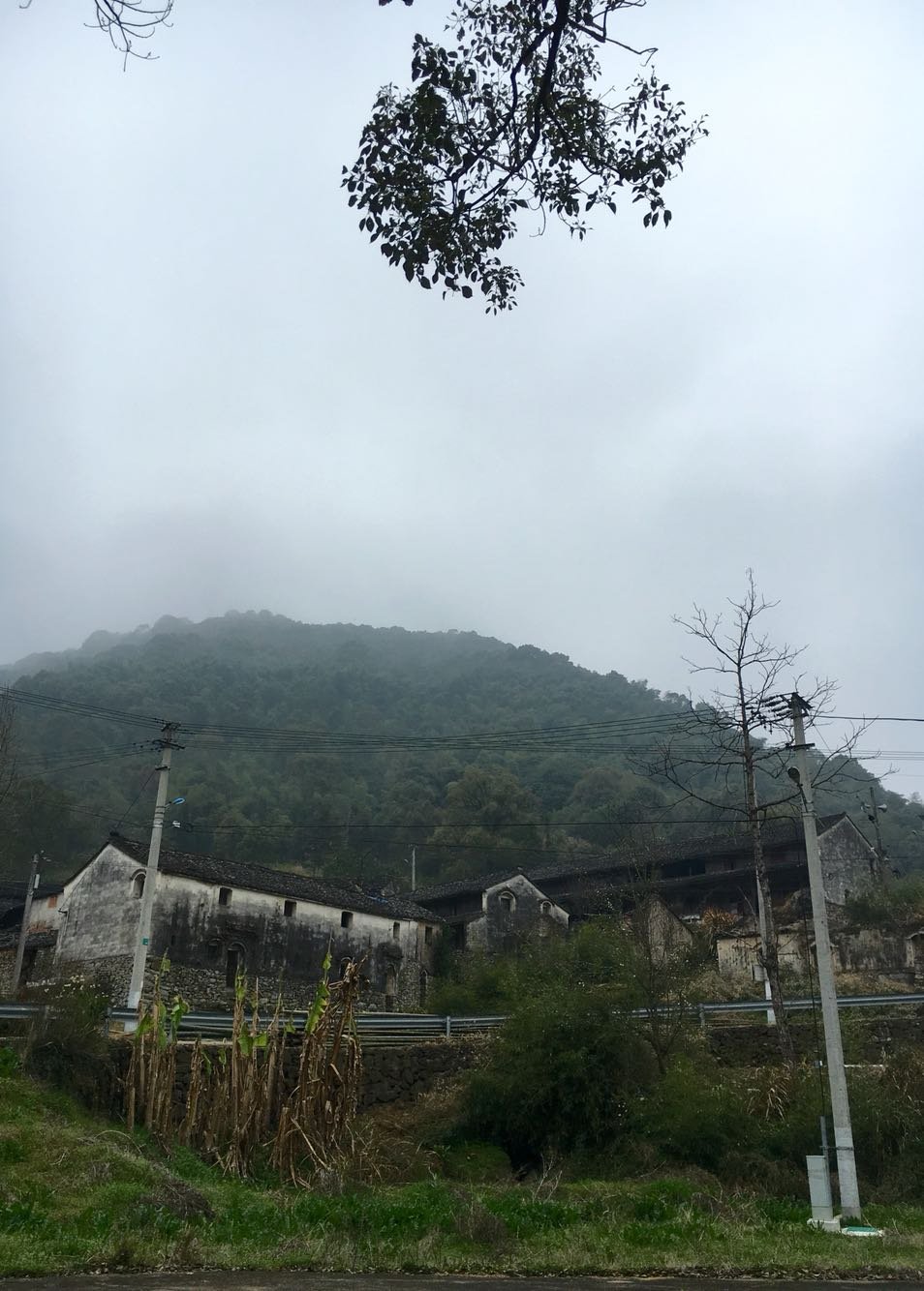 胡宅乡天气预报更新通知