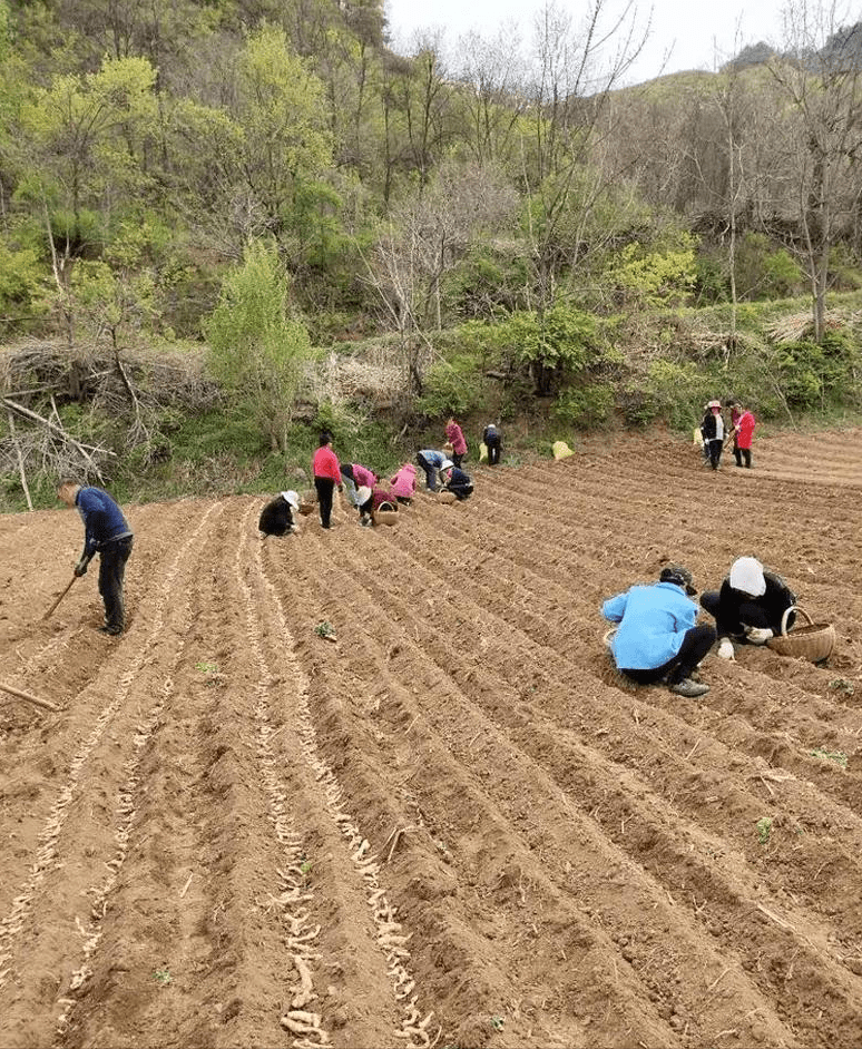 理县农业农村局最新项目