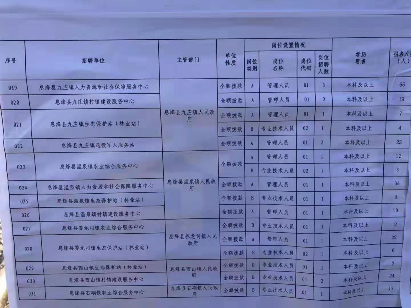 商州区数据和政务服务局招聘公告详解