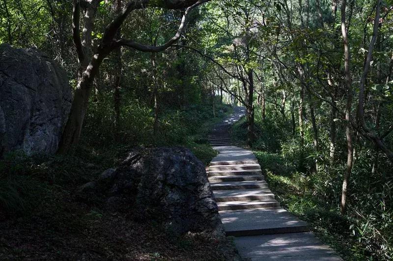 齐山镇最新新闻