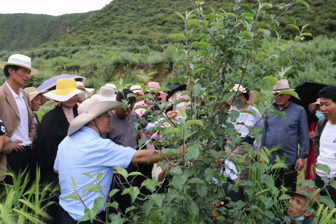 瓦日村最新新闻