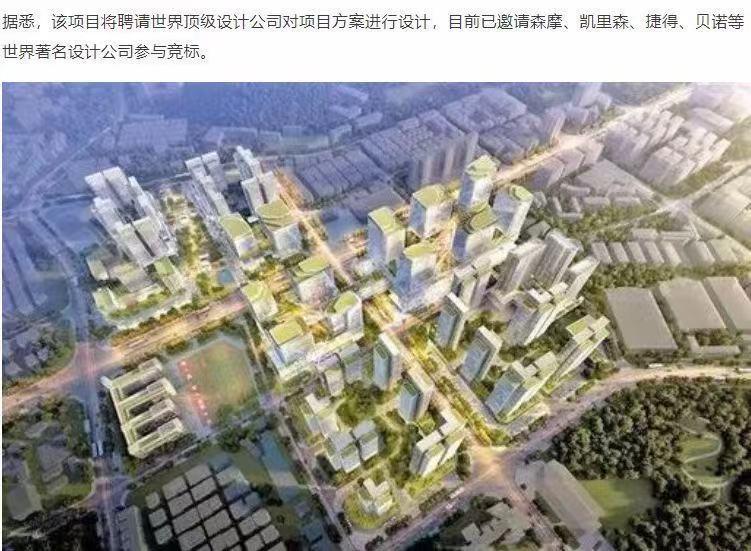 株洲市市房产管理局最新发展规划