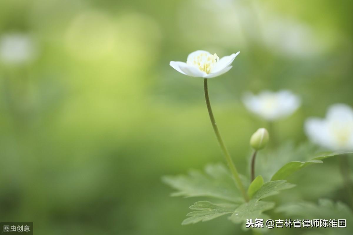 台山市小学最新动态报道