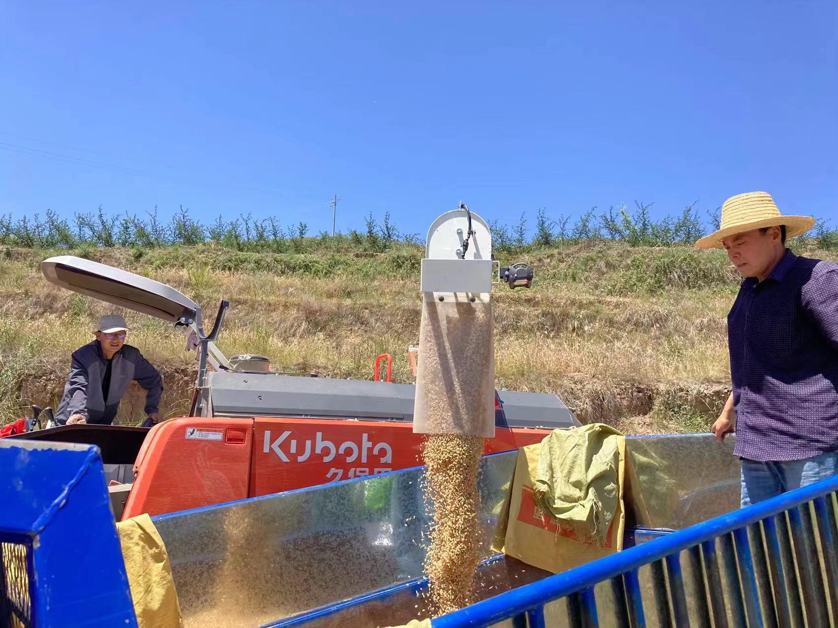 张湾村委会最新项目