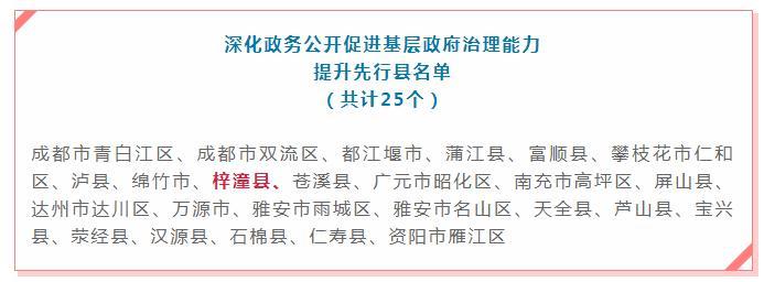 平武县数据和政务服务局最新发展规划深度探讨